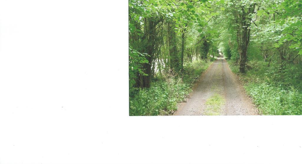 אברגאבני Brynhonddu Country House B&B מראה חיצוני תמונה